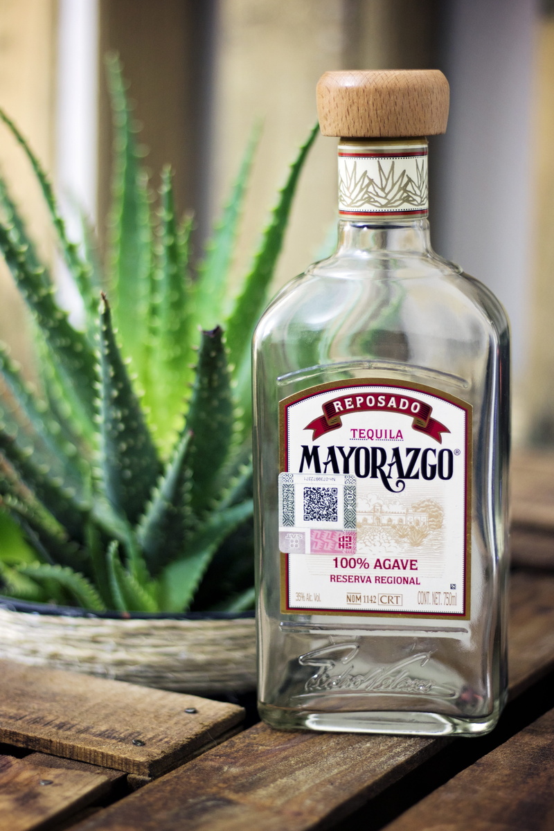 western script, focus on foreground, day, drink, colorful, green color, mexico, growth, near, vera, text, Tequila, indoors, beverage, sign, jar, Bottle