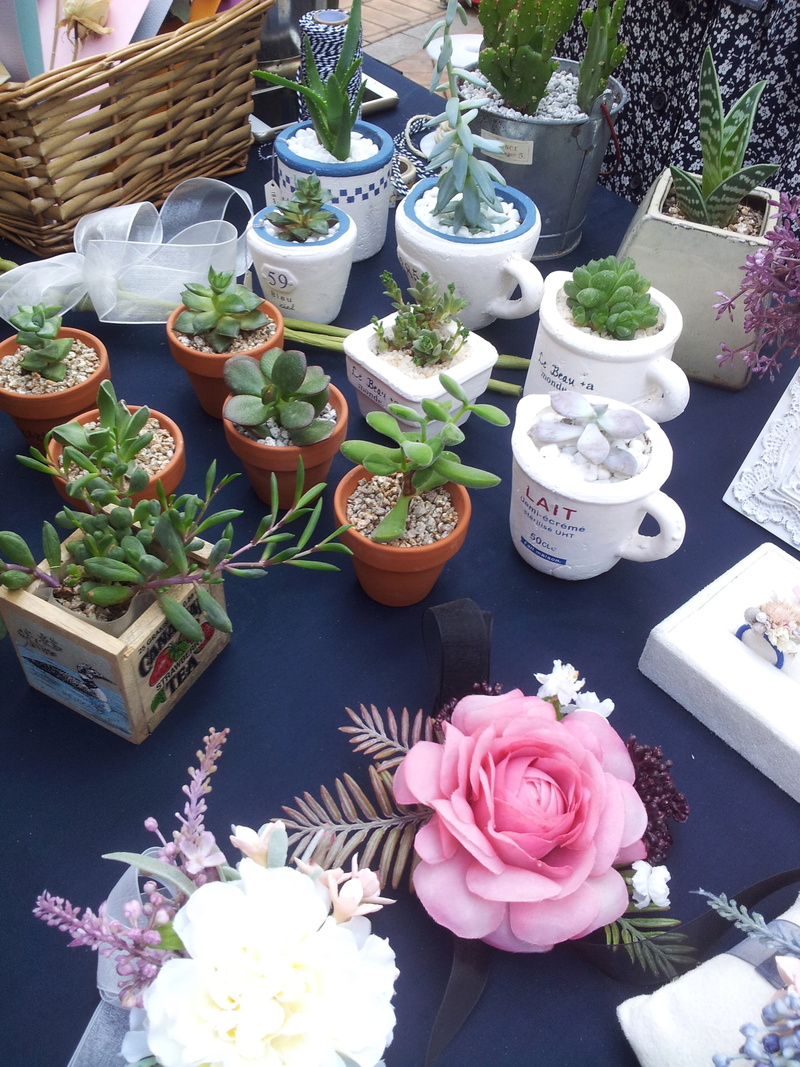 growth, potted plant, cactus, flower pot, outdoors, flowering plant, flower head, flowers, hwasaham, spring, choice, pink color, day, fragility, flower arrangement