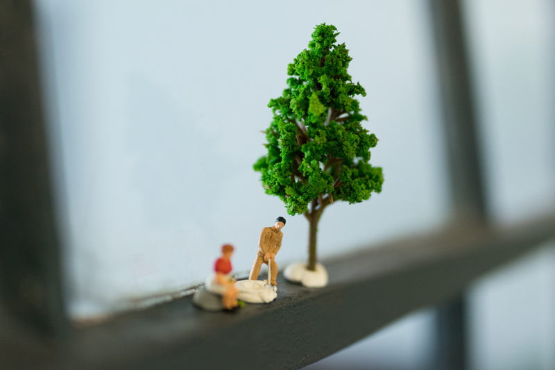 nature, potted plant, miniature, herbs, vase, 5K, indoors, green, food, fruit, day, mini, bonsai, flora, close-up, table, focus on foreground, parsley