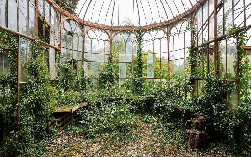 nature, greenhouse, 1080P, plants