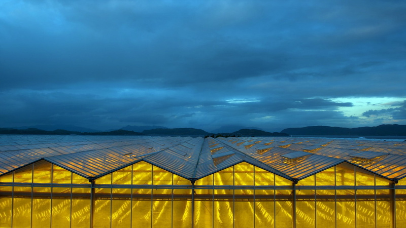 hills, yellow, no people, blue, cloud - sky, glass, scenics - nature, beauty in nature, greenhouse, tranquility, nature, land, overcast, ominous, storm
