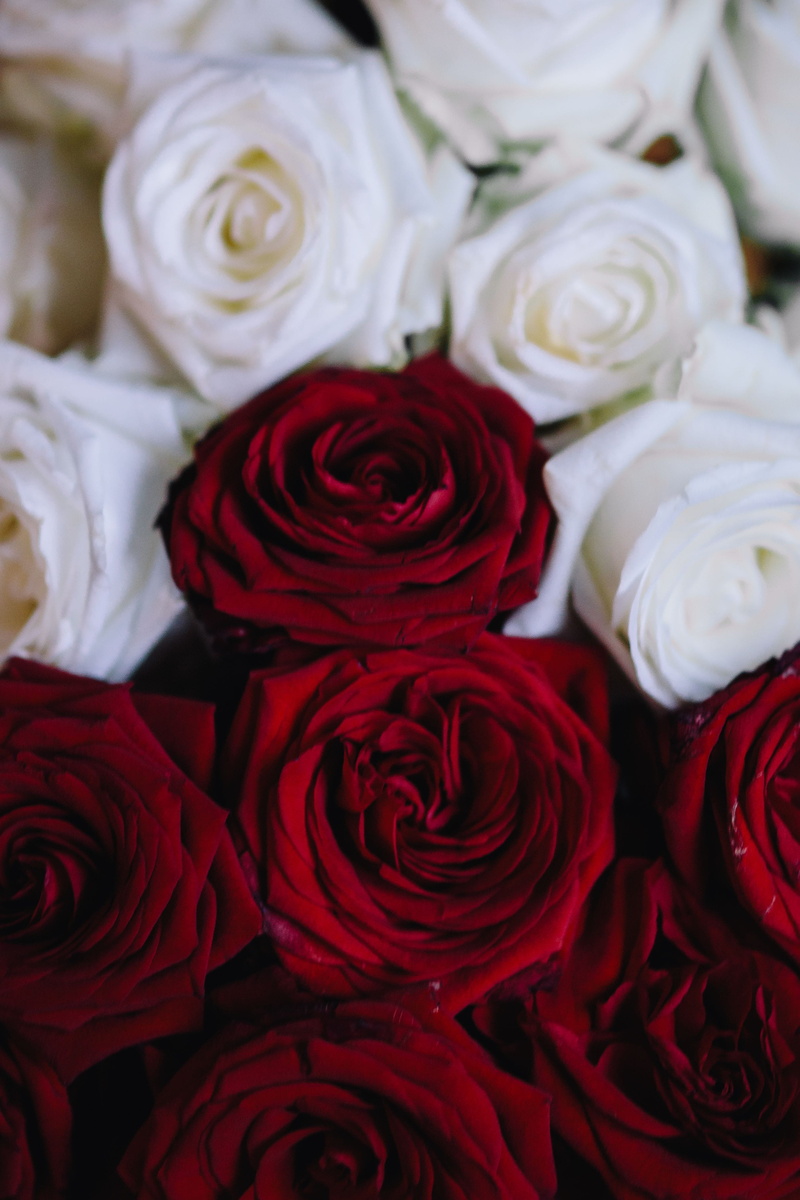 wedding, Bouquet, full frame, love, rose - Flower, inflorescence, backgrounds, Red Roses, close-up, flower head, softness, Poland, romance, flora, bunch of flowers