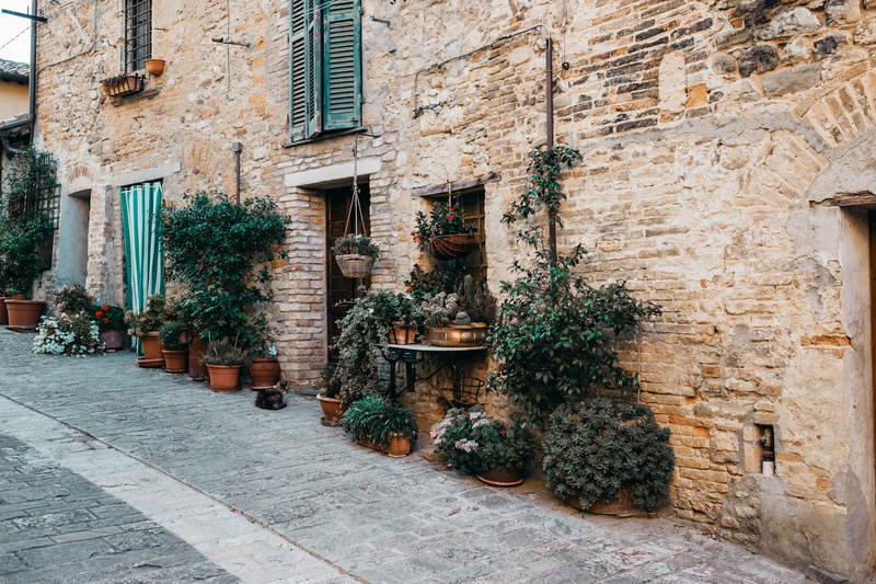 building, sculpture, growth, flowers, flagstone, potted plant, outdoors, residential district, built structure, wall - building feature, brick, path, romantic