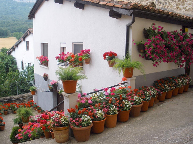 home, flower, flowering plant, rural, freshness, forest, nature, built structure, day, spain, vulnerability, flower pot, potted, building exterior, outside
