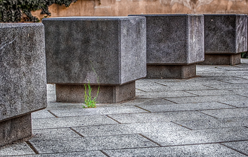colorless, cement, growth, patch, wall, landscape, construction material, space, block, fight, concrete, footpath, masonry, green, potted plant, grow, scion