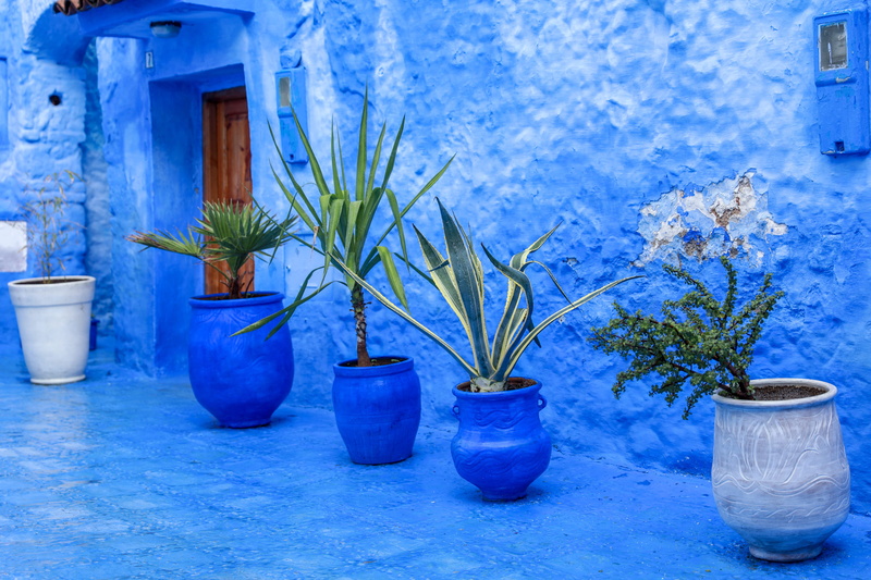 clay, potted, blue, close-up, assorted, growth, vase, window, beauty in nature, gray, pots, houseplant, wall - building feature, 5K, day, plant, architecture
