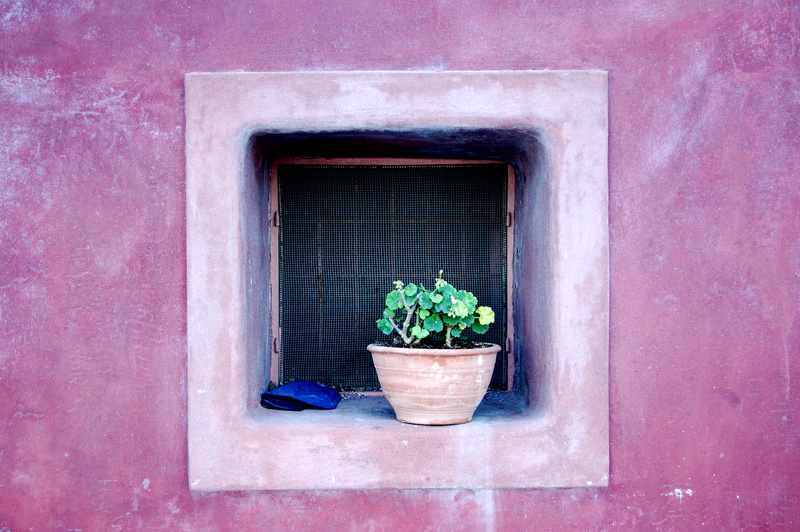 no people, nature, outdoors, window, window sill, succulent plant, close-up, pot, potted, potted plant, gardening, wall - building feature, 2K, plant part
