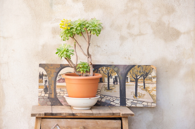 seat, spain, urban, architecture, potted plant, aged, day, leaf, freshness, 4K, concrete, greenery, nature, no people, brown, growth, flower pot, houseplant
