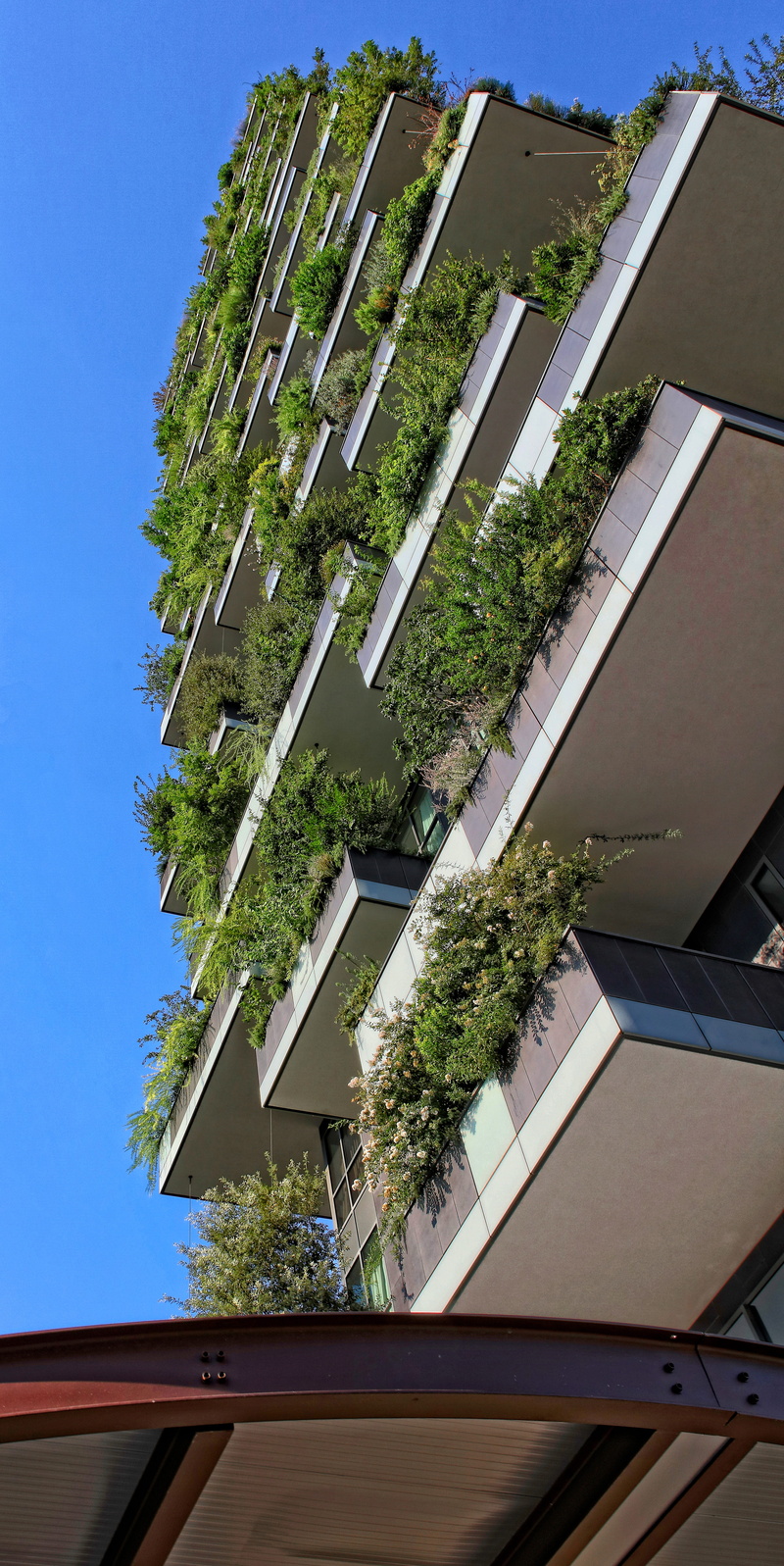 sunlight, day, residential district, white, tree, painted, plant, box, green, blue, daytime, 5K, building exterior, outdoors, brown, apartment, concrete