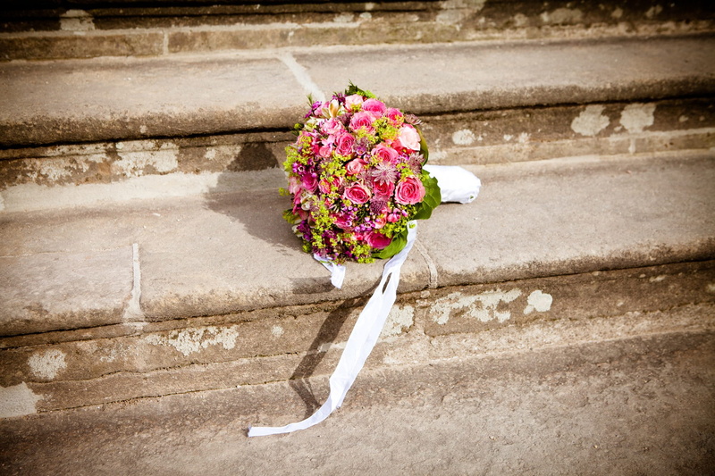 flower head, vulnerability, stairway, flower pot, plant, fragility, flowering plant, flower, concrete, outdoors, petal, staircase, day, no people, freshness
