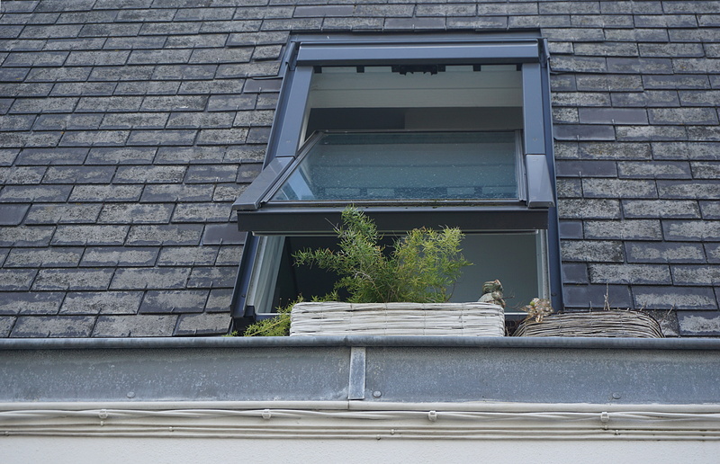 plant, window, roof, concrete, bricks, window frame, building exterior, no people, pattern, wall, wall - building feature, glass - material, day, glass