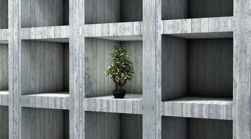 day, Tree, green color, growth, concrete, outdoors, Artistic, plant, no people, window, fence, 2K, sadness, Square, architecture, Bonsai, shape, Isolated