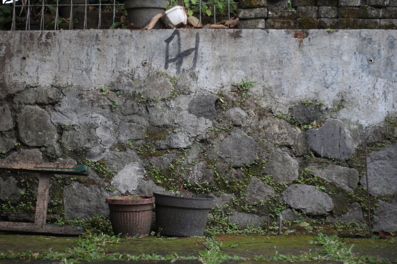 building exterior, nature, well, outdoors, stone, wall, front or back yard, solid, footpath, cement, concrete, 5K, growth, no people, plant, flower pot