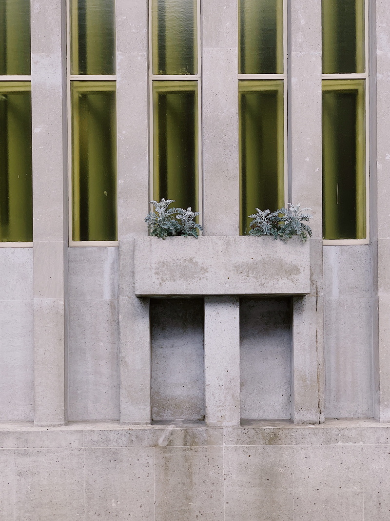 railing, building exterior, pedestrian, shorts, pattern, low angle view, plant, window shade, concrete, no people, window frame, architecture, 4K, handrail