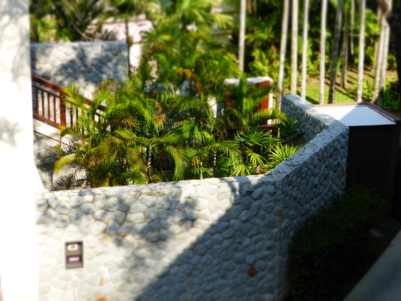 building exterior, thailand, resort, beach, wall, day, retaining wall, selective focus, holiday, hotel, focus on foreground, 4K, sun, nature, phuket, growth