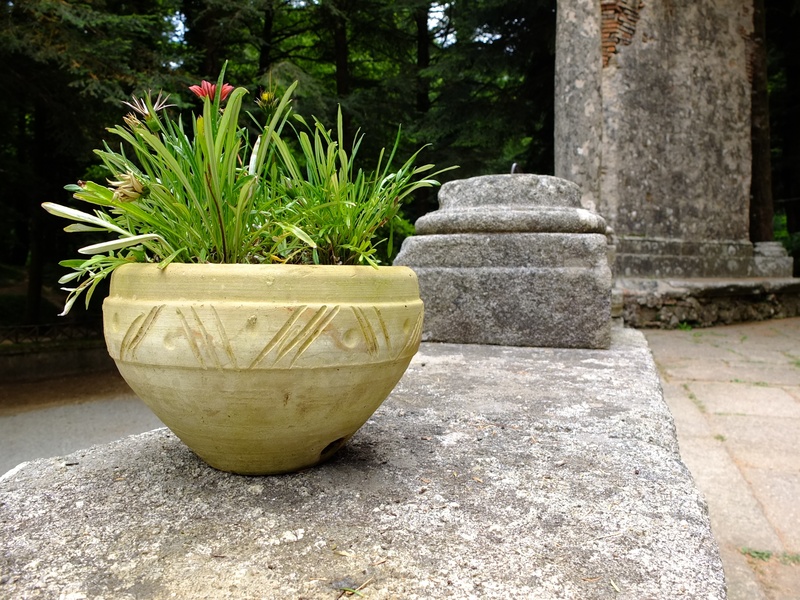 growth, nature, solid, garden, flower, 2K, outdoors, day, built structure, planter, decorative urn, flowerpot, ruin, tranquility, beauty in nature, architecture