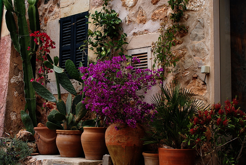 assorted, no people, planters, seat, brown, facade, mediterranean, old, concrete, window, building, growth, built structure, flowering plant, day, plant