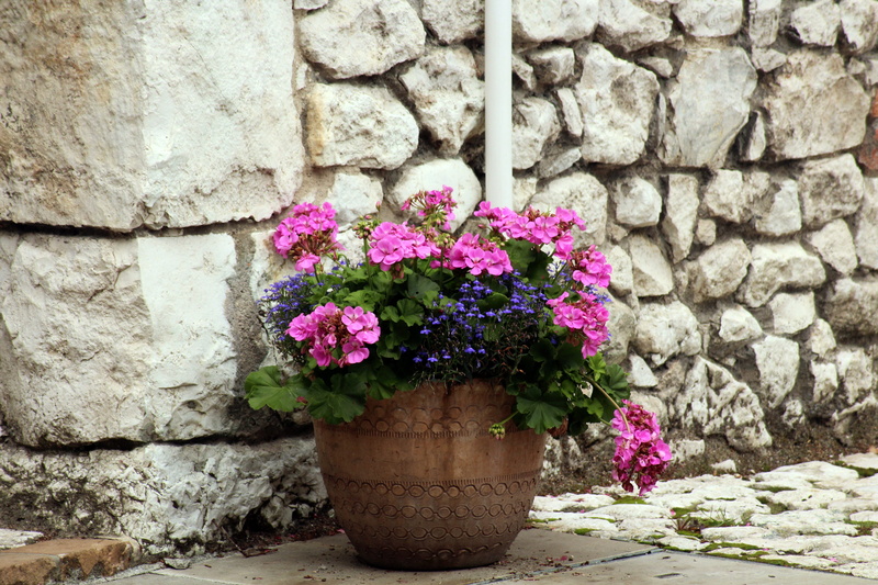 stone, brick, blue, fragility, flower head, composition, outdoors, purple, flowers, beauty in nature, bowl, petaled, ornament, flowering, day, close-up