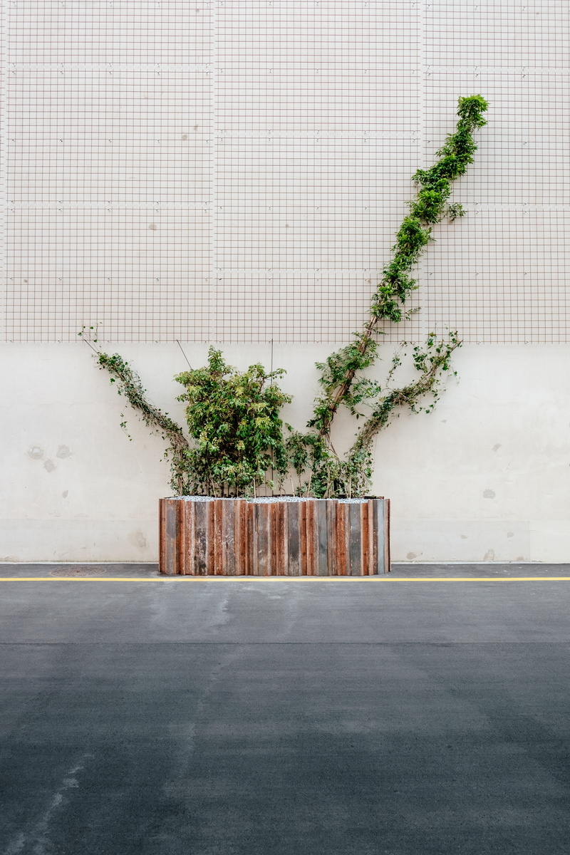 urban, wall - Building Feature, building exterior, tree, plant, no People, city, potted, road, street, building, growth, green color, day, architecture