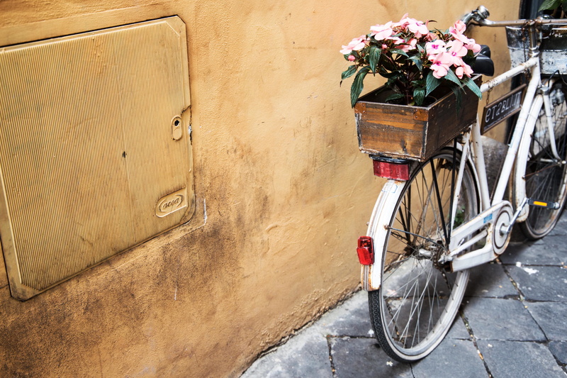 city, still, outdoors, flower, wall - building feature, basket, plant, bicycle, lines, wheels, day, mode of transportation, flowers, items, nature, street
