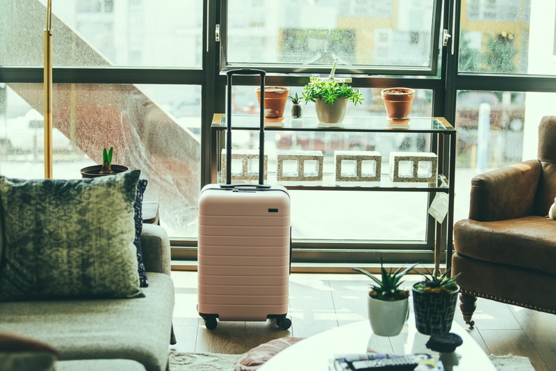 rug, cushion, living room, armchair, table, potted plant, indoors, inside, window, glass - material, pots, absence, room, interior, plant, sofa, furniture