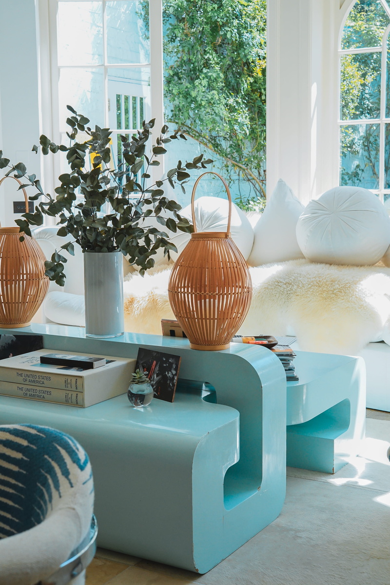 plant, chelsea, jar, window, room, domestic room, london, home, coffee table, day, home interior, flora, living room, white sofa, livingroom, coffee, table