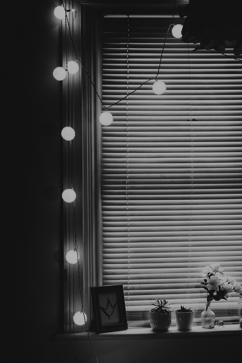 decoration, food, light, hanging, architecture, jar, wall - building feature, beside, blinds, flower, houseplant, interior design, no people, ceiling, curtain