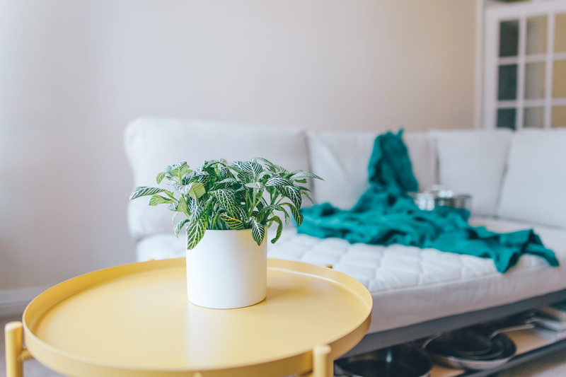 couch, living room, 4K, domestic room, potted plant, chair, modern design, plant, leaf, furniture, focus on foreground, cookware, seat, green color, growth