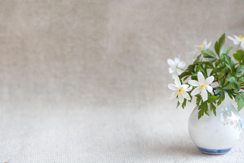 vase, copy space, fragility, anemone nemorosa, 2K, flower arrangement, bunch of flowers, white color, early bloomer, textured effect, sparse, beauty in nature