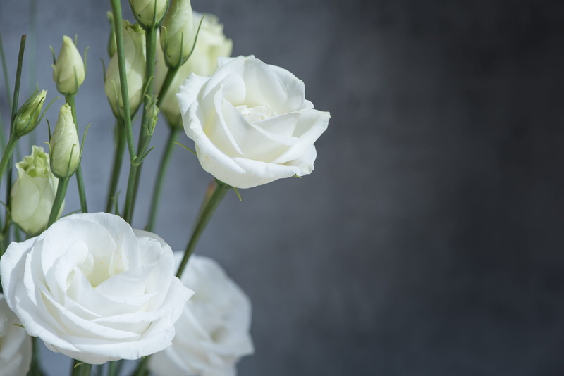 white flowers, photo, growth, lisianthus, white color, rose, nature, freshness, close-up, sweet, bloom, schnittblume, blossom, flower, fragility, bouquet