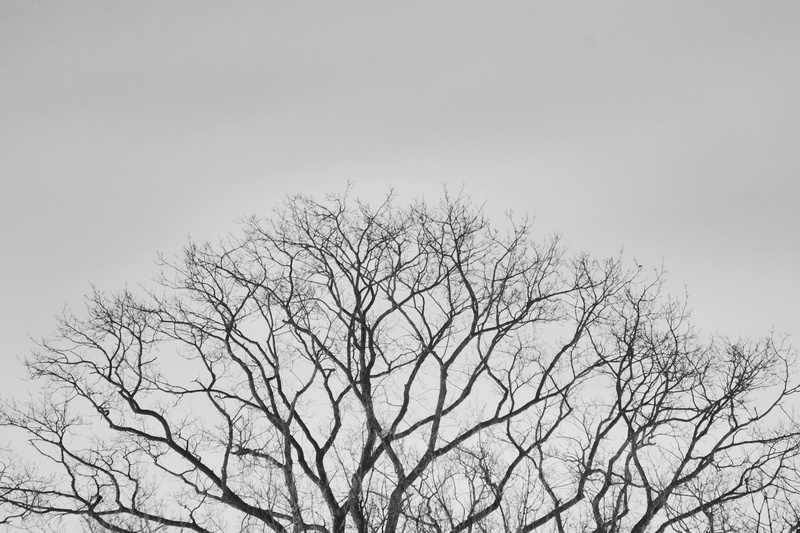 grey, road, world, 4K, ing, traffic, minimal, daytimne, street  people, photography, life, journey, documentary, fujinon, reportage, long  exposure, tree