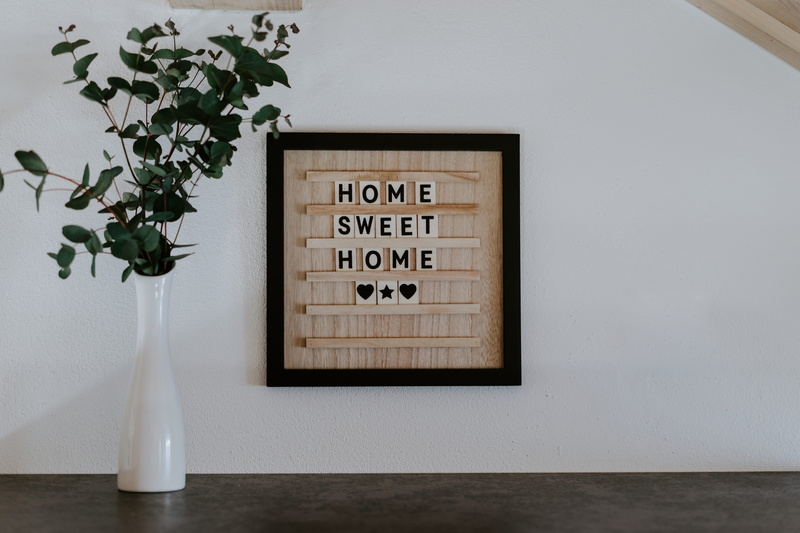 plant, wand, white color, living, vase, growth, feeling, wooden, plant part, plants, lifestyle, herz, day, feelings, interior, flowering plant, innen, western script
