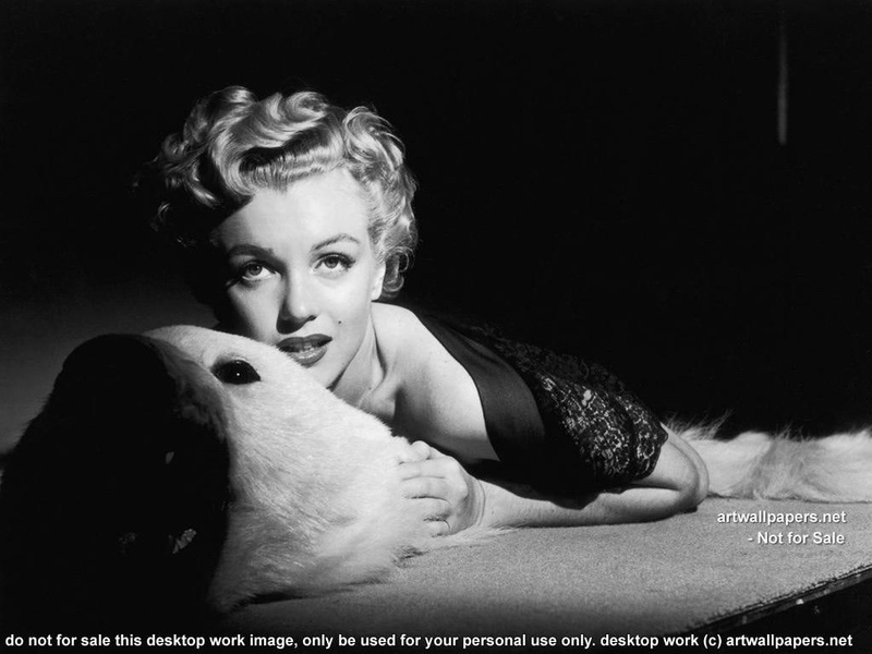 marilyn, 480P, marilyn monroe, images, poster, hollywood, celebrities, monroe, celebrity