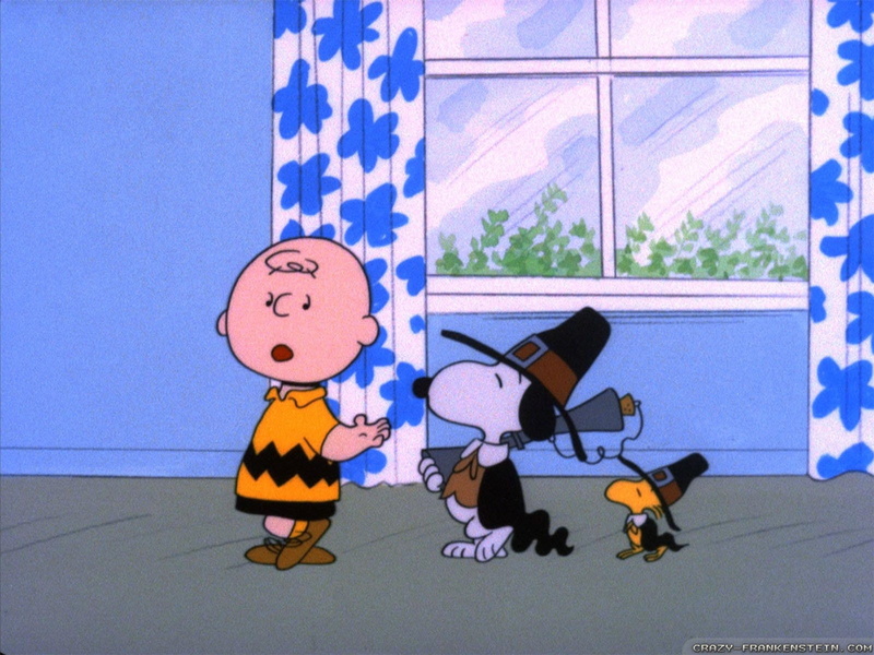 indoors, paper, Peanuts (Cartoon), Movie, shadow, wall - building feature, blue, human representation, A Charlie Brown Thanksgiving, no people, flag, window