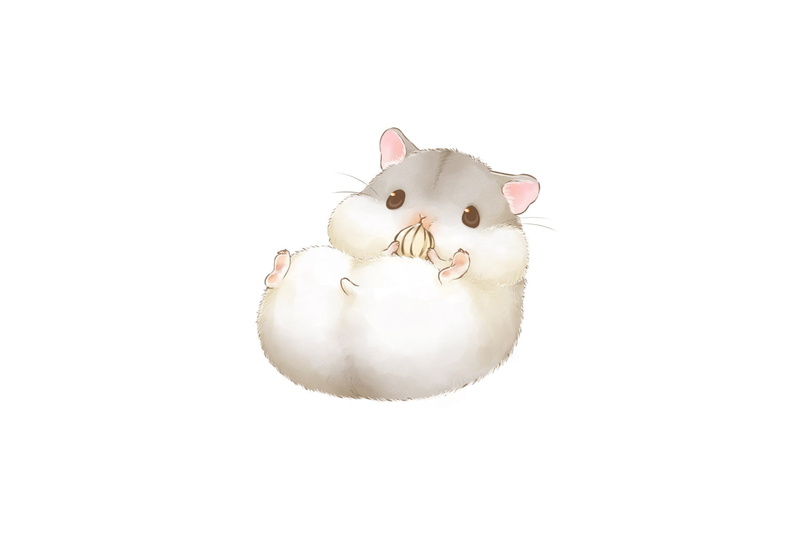 Anime, Cute, 1080P, Eating, Hamster, Original