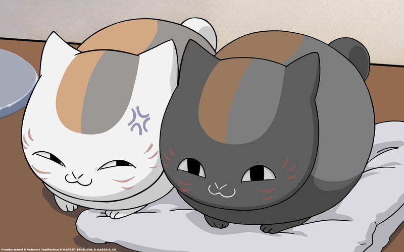 Natsume Book of Friends, two, cats, indoors, nature, white, hair, ball, communication, illustration, representation, art and craft, gray, 1080P, cat, Natsume Yuujinchou