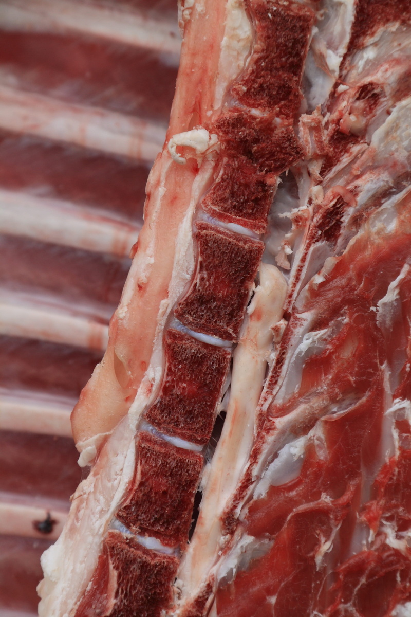 indoors, for sale, raw, pattern, red, beef, 4K, whole, close-up, processed meat, frozen, freshness, death, raw food, butcher, day, cut, fresh, food and drink