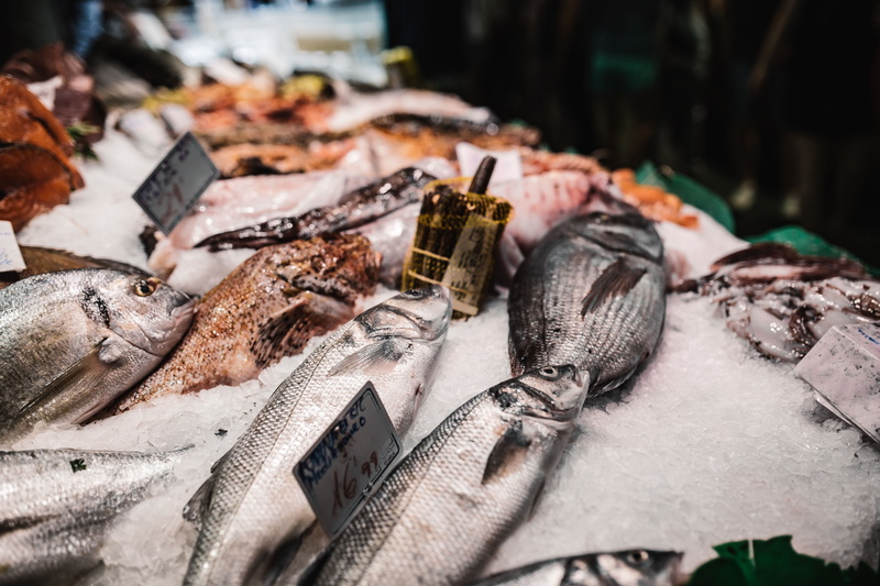 dead Animal, for sale, barcelona, outdoors, catch of Fish, market, selling, selective focus, fruits, seafood, sale, business, la, food, market Stall, small business