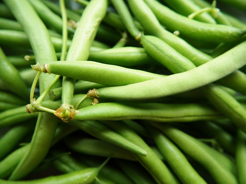 string, wellbeing, nature, market, freshness, plant, day, close-up, retail, beans, backgrounds, abundance, vitamins, close, healthy eating, green beans