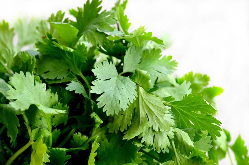 dinner, herb, no people, food and drink, fresh, plant part, natural, vegetable, nature, close-up, growth, white color, leaves, herbs, eating, spice, photographed