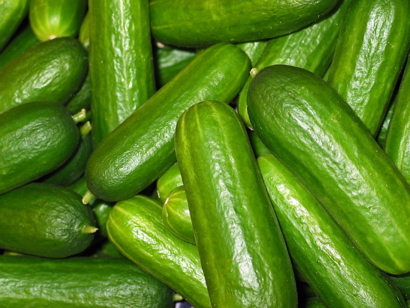 vegetarian, edible, kitchen, frisch, chili pepper, cook, Vegetables, green color, bio, close-up, full frame, market, meal, backgrounds, food, feed, healthy eating