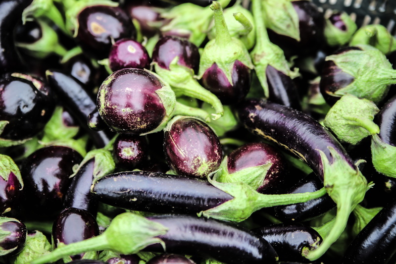5K, no people, agriculture, fresh, vegan, green, sketch, healthy, organic, farming, abundance, plant, high angle view, indoors, ingredient, selective focus