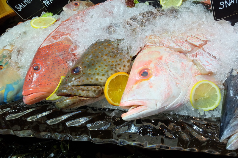 salmon, retail, restaurant, Food, menu, meat, freshness, ocean, dine, animal, lemon, for sale, healthy eating, Sea, vertebrate, food and drink, cold temperature
