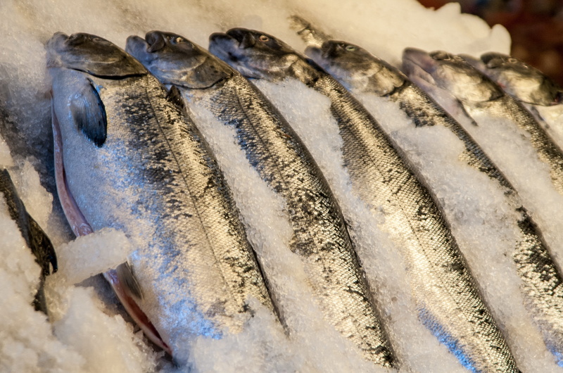 fresh fish, tasty, fishing, saltwater fish, eating, ocean, raw, store, seafood, 4K, dinner, healthy eating, photo, Fish Market, food and drink, salted