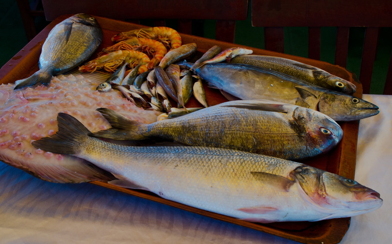 sea, for sale, feed, fish, fishing industry, fishes, nutrition, healthy eating, fish plate, catch of Fish, nature, tray, container, lunch, shrimps, water