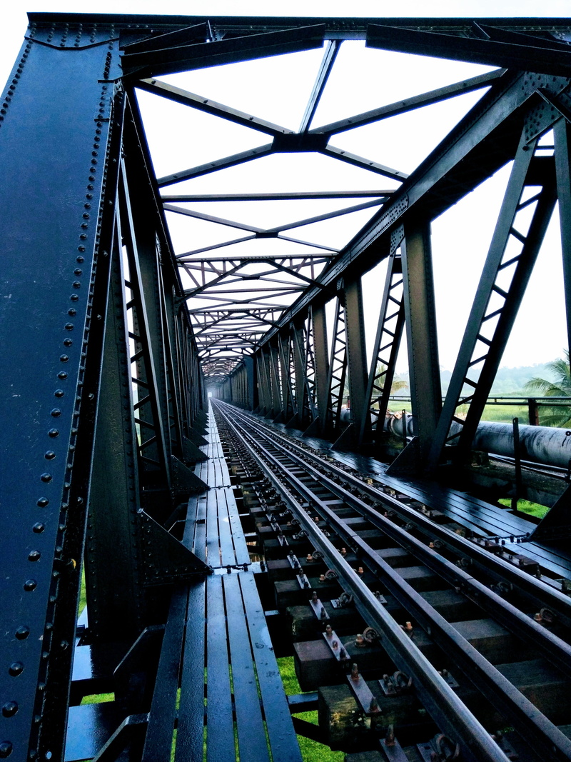 railway bridge, track, shunting yard, nature, daylight, 4K, girder, steel, the way forward, built structure, mode of transportation, connection, tracks