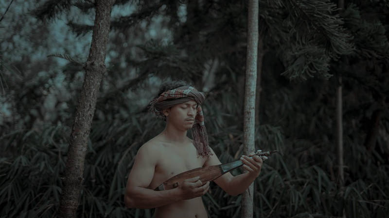 tree, contemplation, traditional, looking, plant, forest, music, toba, nature, batak musician, apparel, young women, art, traditional etnic, three quarter length