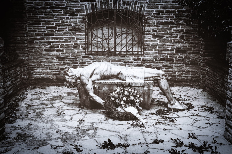 vertebrate, military, 5K, relaxation, veteran, outdoors, memory, pets, world war, day, wall, built structure, sauerland, domestic animals, war, commemorate