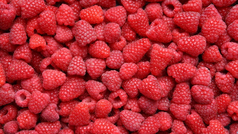 healthy eating, raspberries, full frame, indoors, heap, food, berry fruit, abundance, berries, close-up, large group of objects, food and drink, lot, freshness