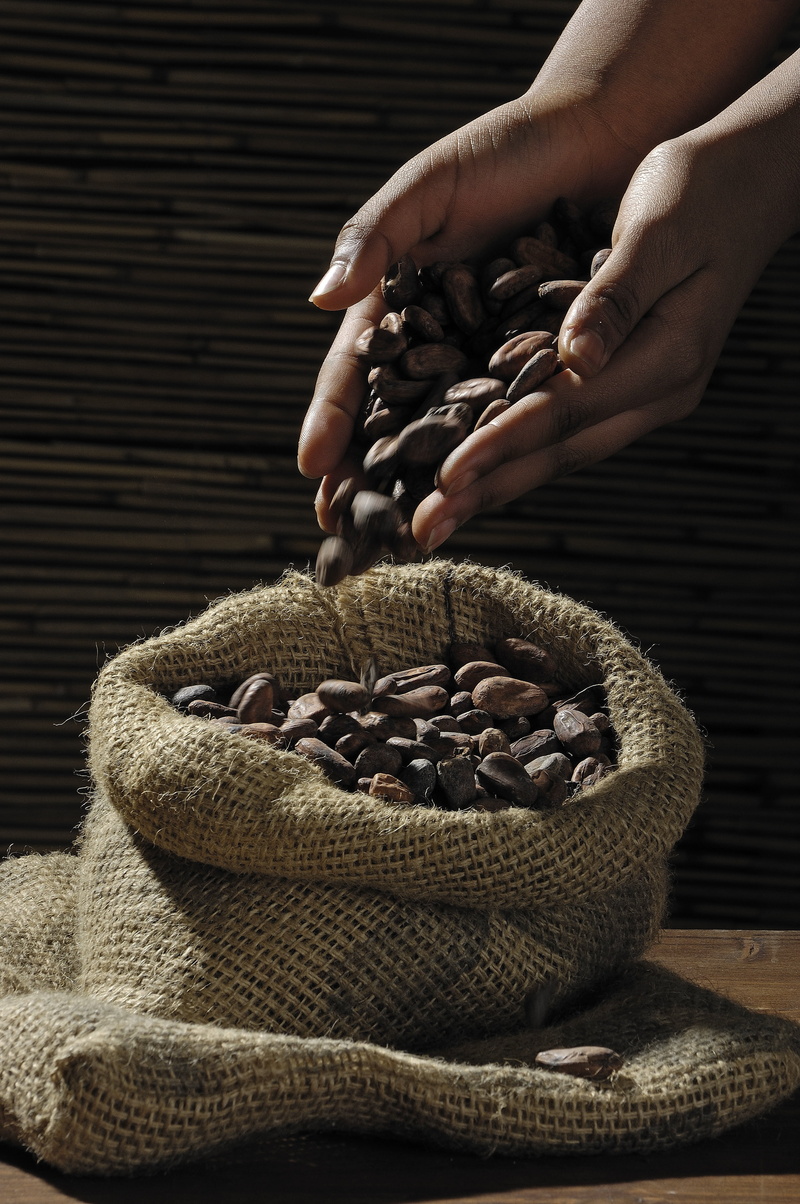 person, container, finger, cocoa beans, candy, cocoa, wicker, human hand, basket, chocolate, body part, seeds, unrecognizable person, human finger, food and drink